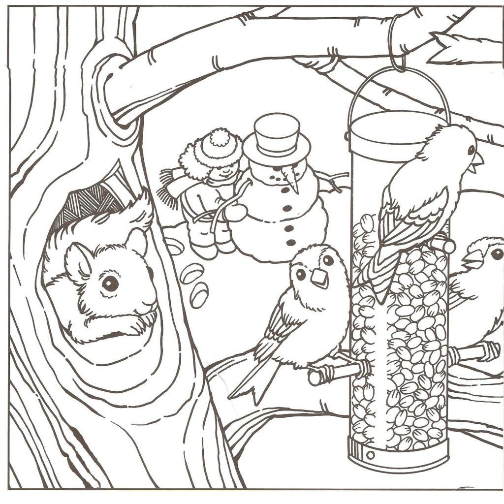 Winter Coloring Pages For Adults
 Winter Coloring Pages For Adults Coloring Home