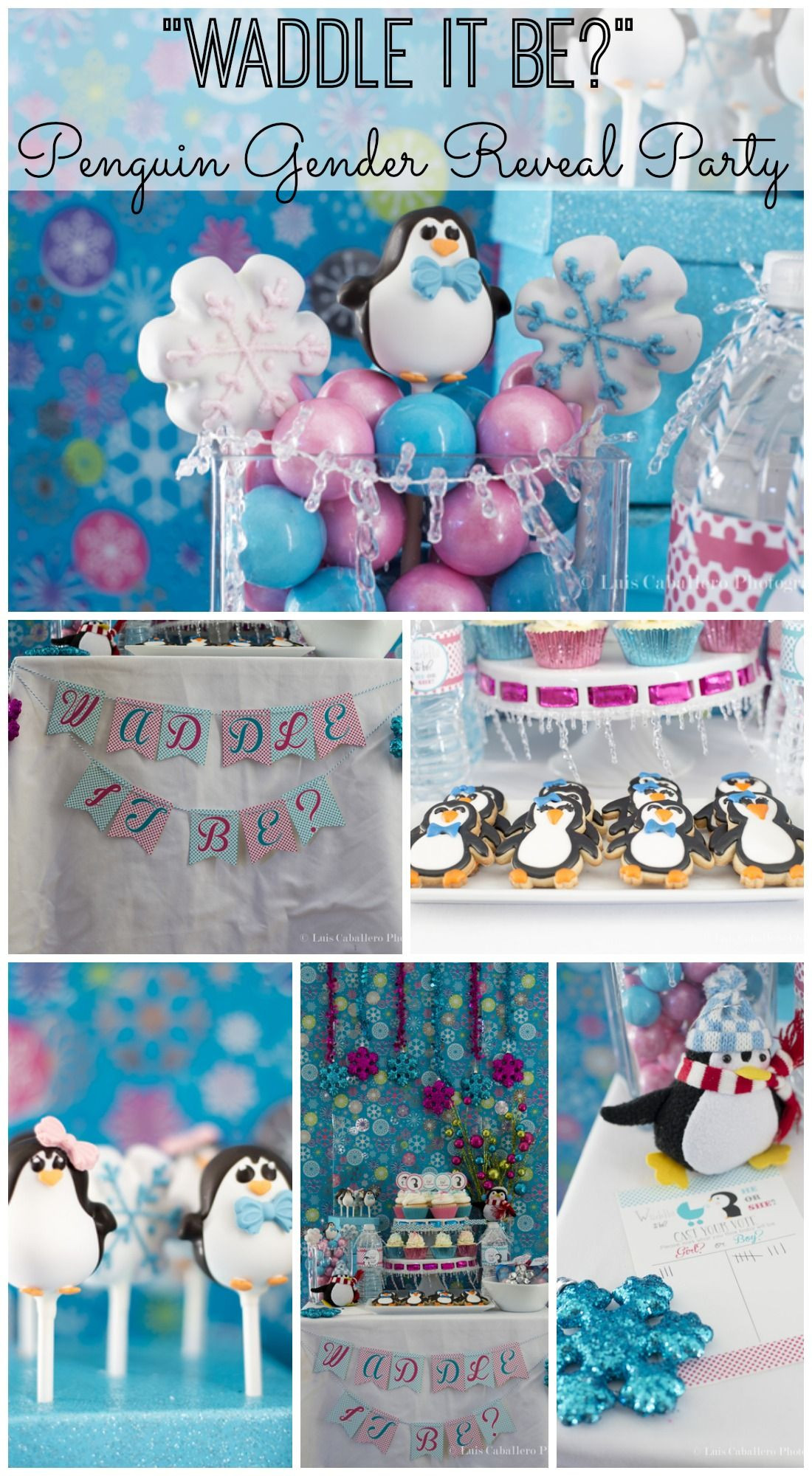 Winter Gender Reveal Party Ideas
 "Waddle it Be " gender reveal baby shower great idea for