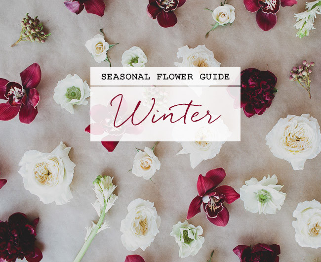 Winter Wedding Flowers In Season
 Seasonal Flower Guide Winter