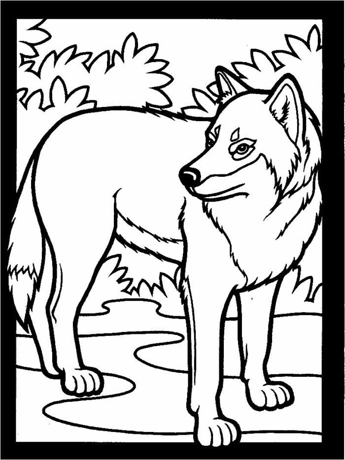 Wolf Coloring Pages For Kids
 Wolf Coloring Pages