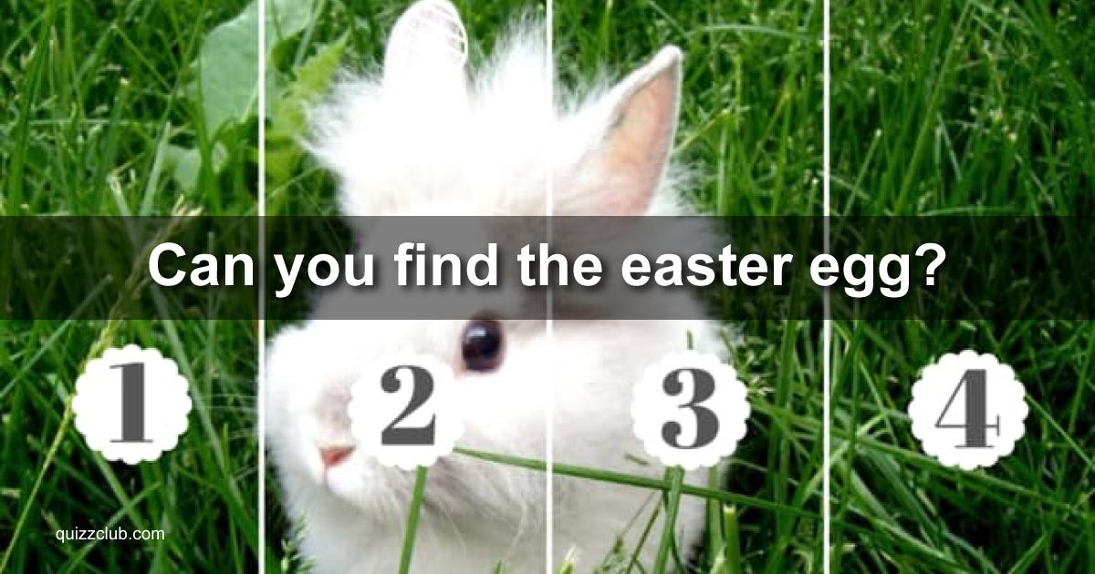 Can You Buy Easter Baskets With Food Stamps
 Can You Find The Easter Egg We ve Trivia Quiz