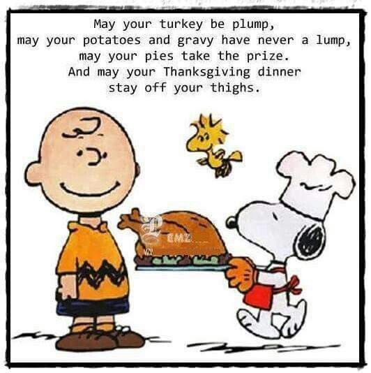 Charlie Brown Thanksgiving Quotes
 Pin by Lisa Grivetti on Snoopy