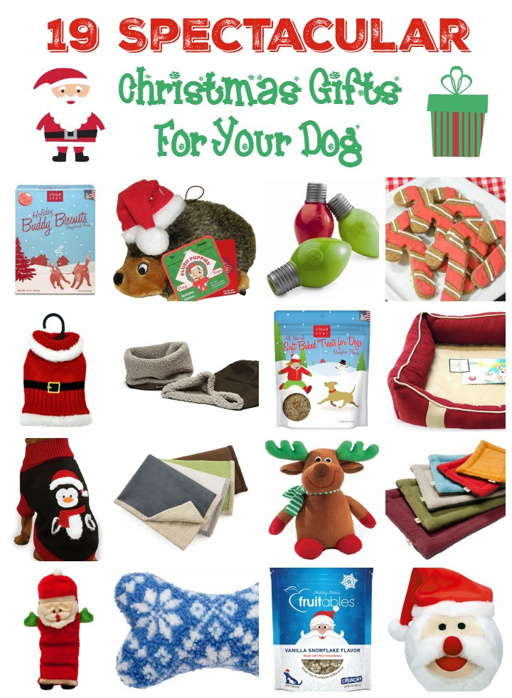 Christmas Gifts For Dogs
 19 Christmas Gifts for Dogs of All Sizes