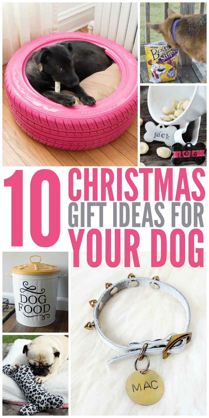 Christmas Gifts For Dogs
 10 Christmas Gift Ideas for Your Dog Glue Sticks and