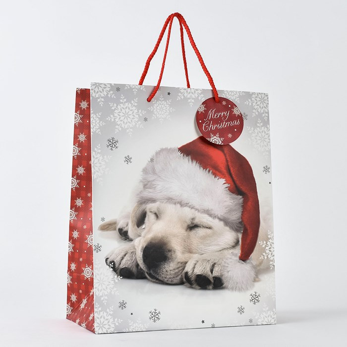 Christmas Gifts For Dogs
 Christmas Dog Gift Bag