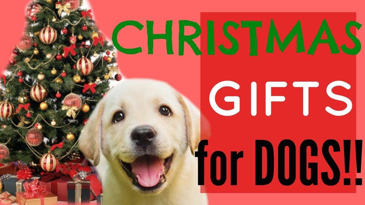 Christmas Gifts For Dogs
 Christmas ts for dogs
