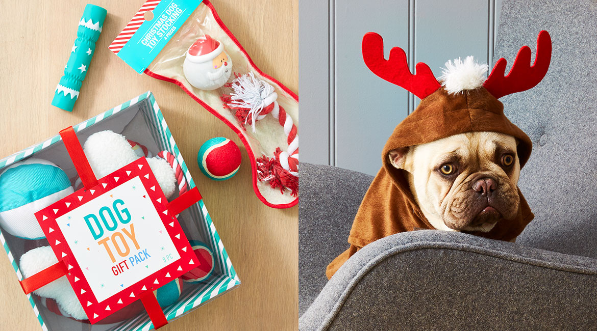 Christmas Gifts For Dogs
 christmas ts for pets Kmart