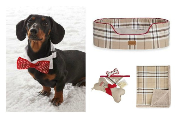 Christmas Gifts For Dogs
 Gifts for your dog from Next Homeware Ireland