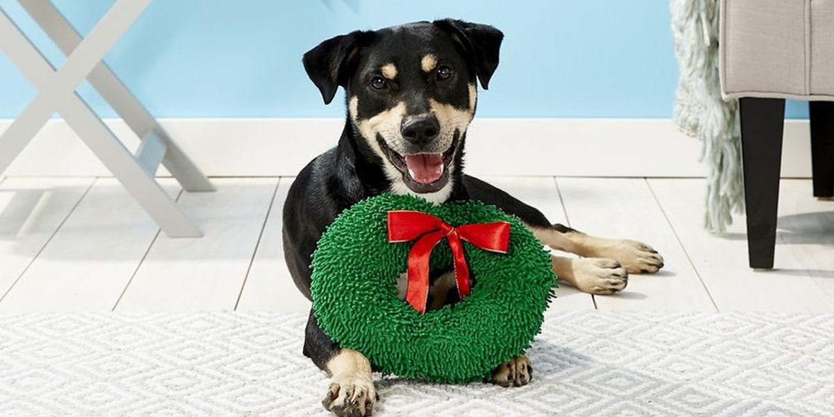 Christmas Gifts For Dogs
 50 Best Gifts for Dog Lovers 2019 Unique Dog Owner Gift