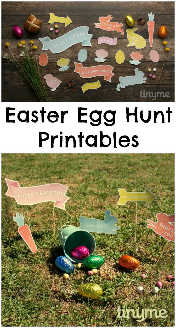 Easter Egg Hunt Ideas For Large Groups
 Easter Egg Hunt Ideas In The Playroom