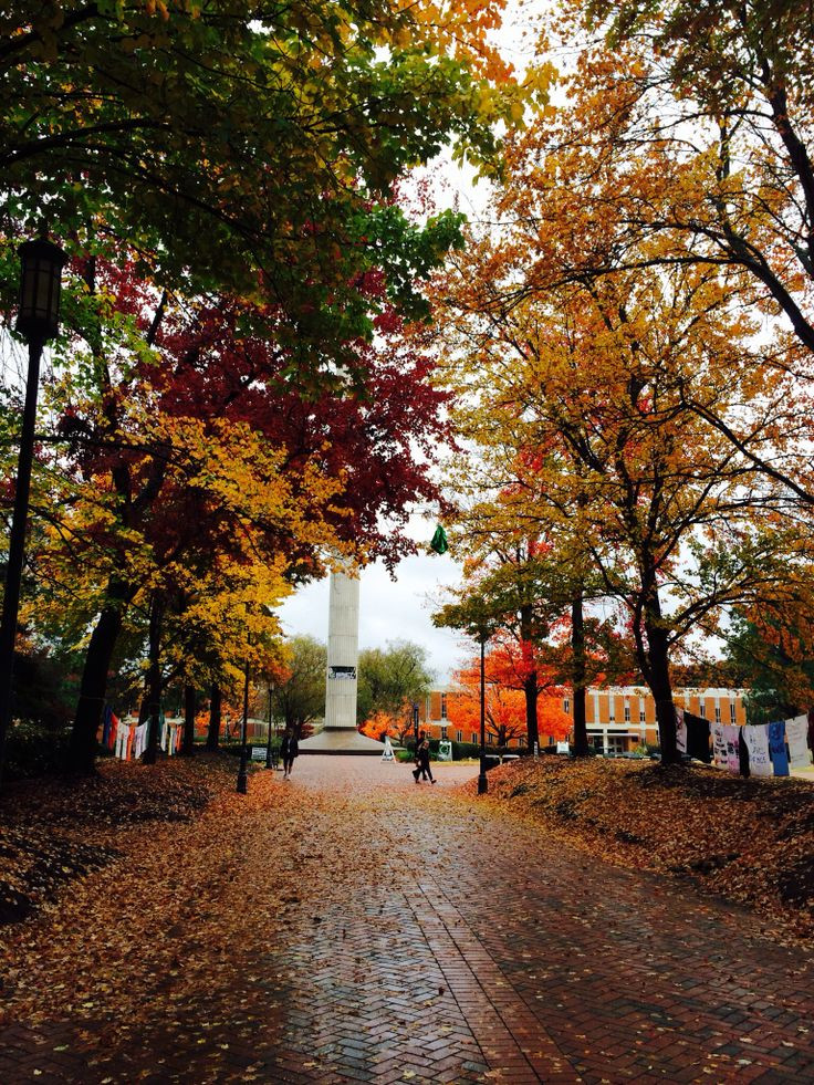Fall Activities In Charlotte Nc
 11 best 49er Alumni News and Events images on Pinterest