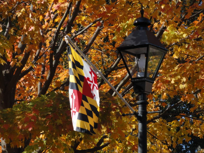 Fall Activities In Maryland
 Best Times And Places To View Fall Foliage In Maryland 2017