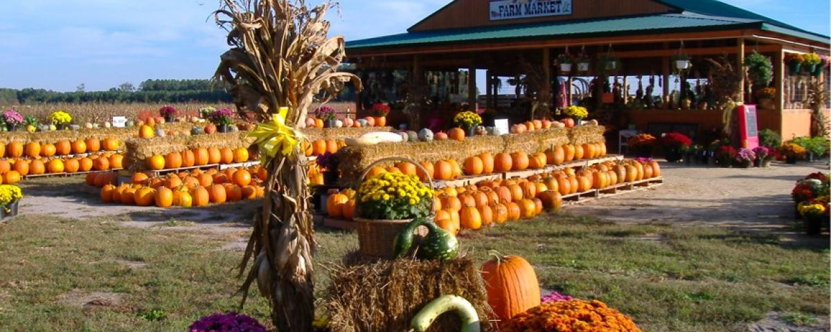 Fall Activities In Maryland
 Fall Vacation Ideas