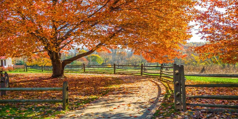 Fall Activities Nj
 Best New Jersey Fall Activities Festivals and Events