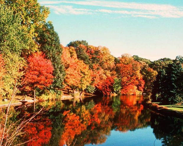 Fall Activities Nj
 A conservationist s 11 favorite N J spots to enjoy fall