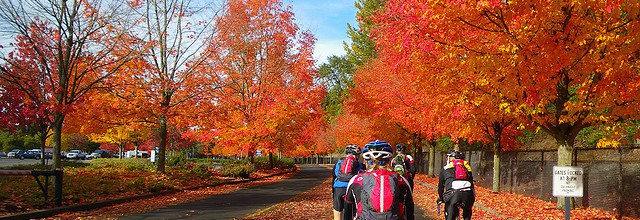 Fall Activities Nj
 Fall Bicycling Events in New Jersey