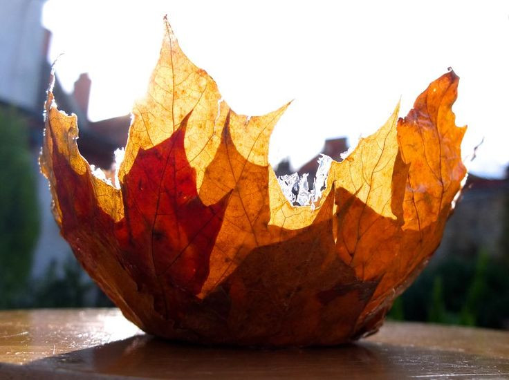 Fall Crafts Pinterest
 The 25 best Fall leaves crafts ideas on Pinterest