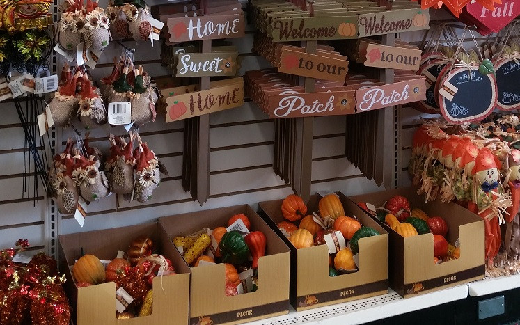 Fall Decor Dollar Tree
 Fall Decorating Dollar Tree Style Get More For Less
