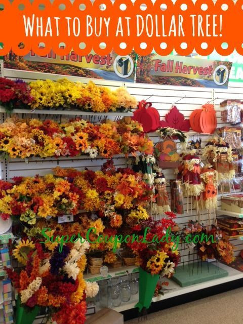 Fall Decor Dollar Tree
 What To Buy At The Dollar Tree