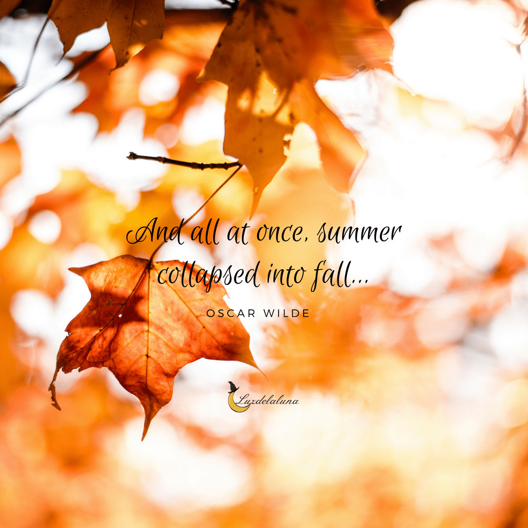 Fall Quotes Images
 20 Beautiful Autumn Quotes That Will Make You Fall In Love