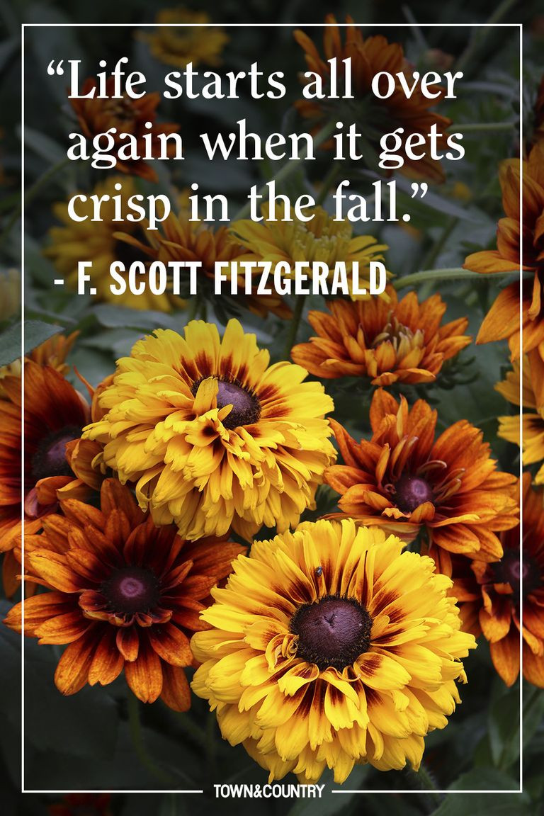 Fall Quotes Images
 12 Inspiring Fall Quotes Best Quotes and Sayings About