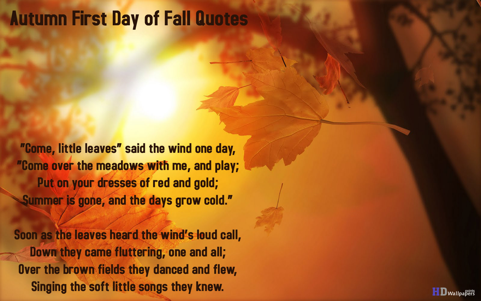 Fall Quotes Images
 Fall Quotes QuotesGram
