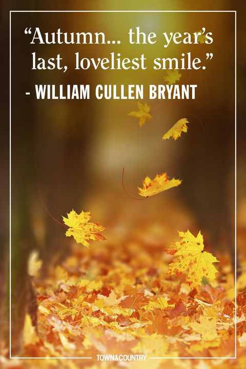Fall Quotes Images
 15 Inspiring Fall Quotes Best Quotes and Sayings About