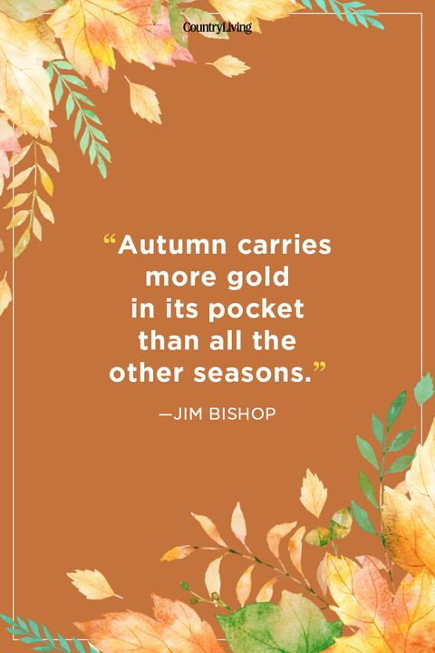 Fall Quotes Images
 52 Fall Season Quotes Best Sayings About Autumn