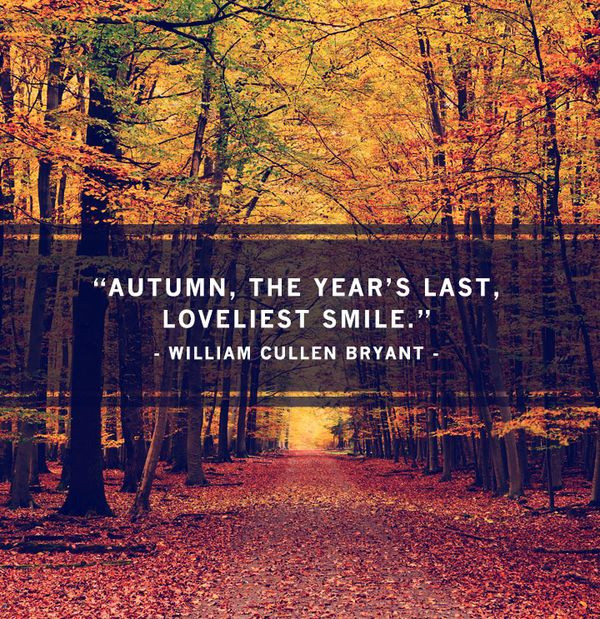 Fall Quotes Images
 Fall Quotes 105 Best Sayings about Autumn