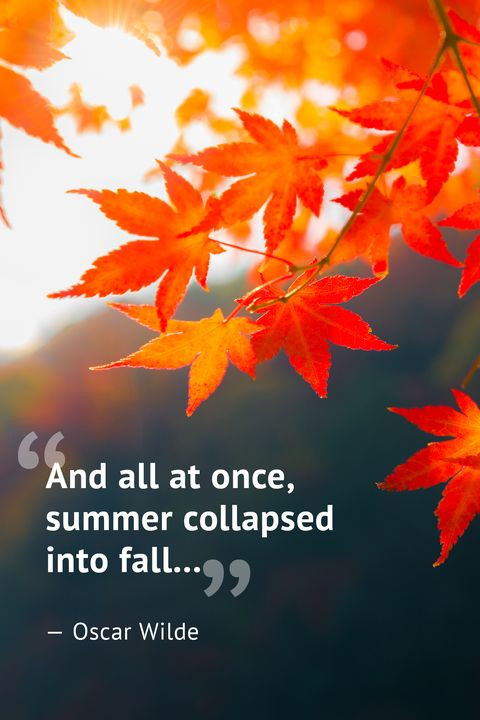 Fall Quotes Images
 10 Beautiful Fall Quotes Best Sayings About Autumn