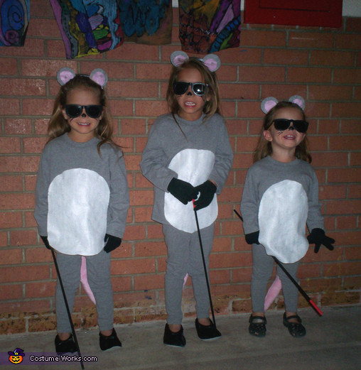 Halloween Costume Ideas For 3
 Three Blind Mice Costume Idea for Kids