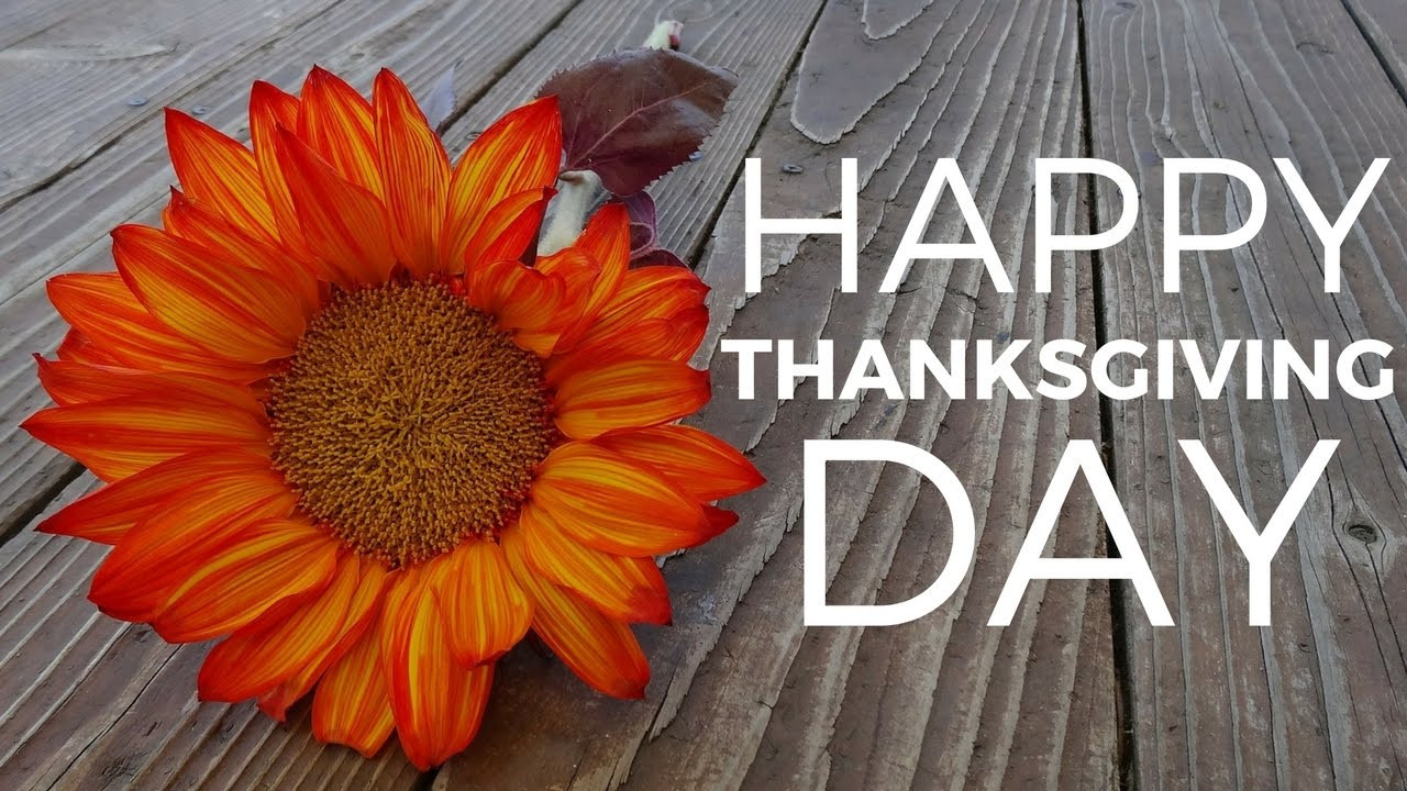 Happy Thanksgiving Day Quotes
 Best Wishes For Thanksgiving Day