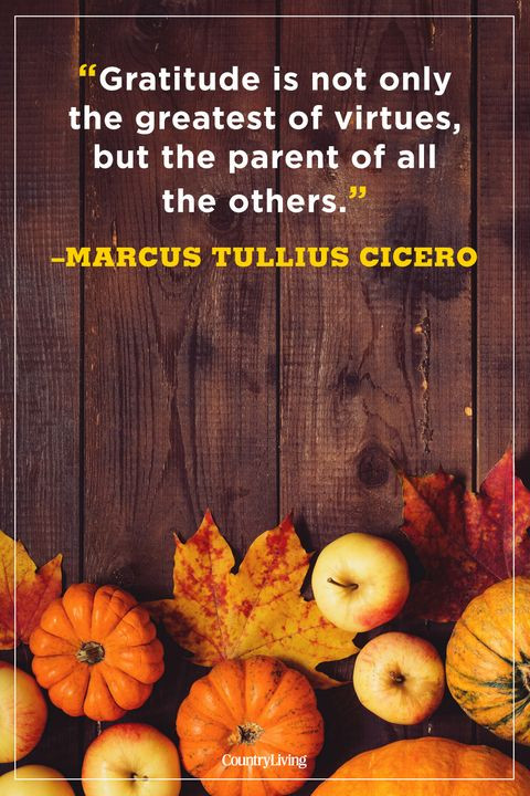 Happy Thanksgiving Day Quotes
 50 Best Thanksgiving Day Quotes Happy Thanksgiving Toast
