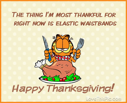 Happy Thanksgiving Funny Quotes
 Garfield Happy Thanksgiving Quote s and
