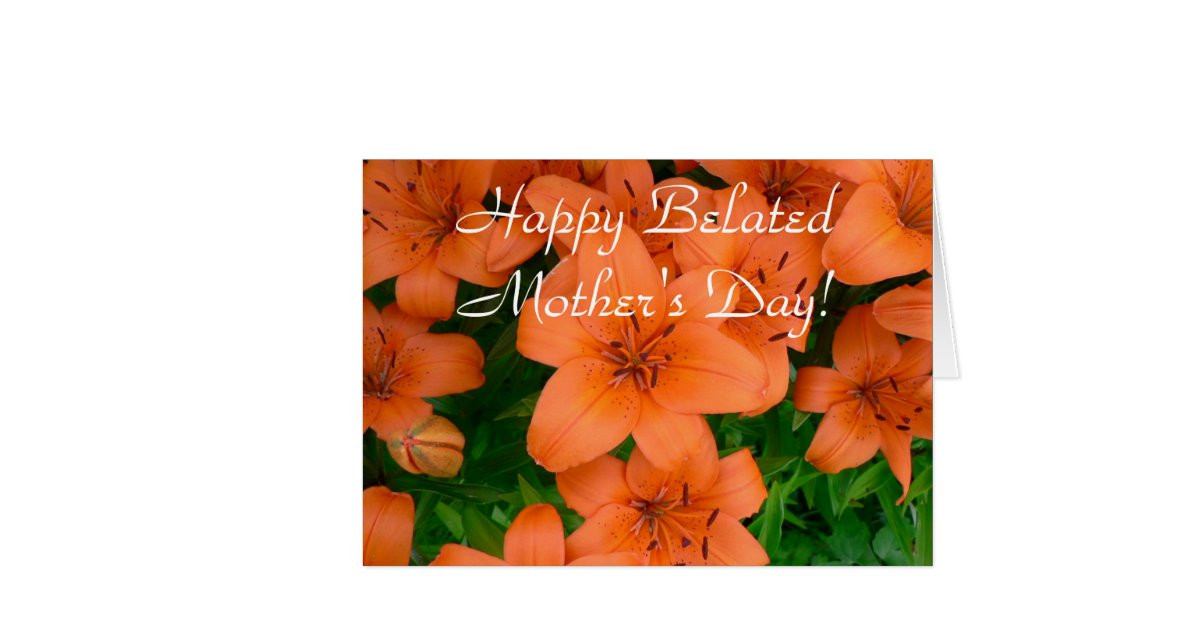 Late Mother's Day Gifts
 Happy Belated Mother s Day daylily greeting card