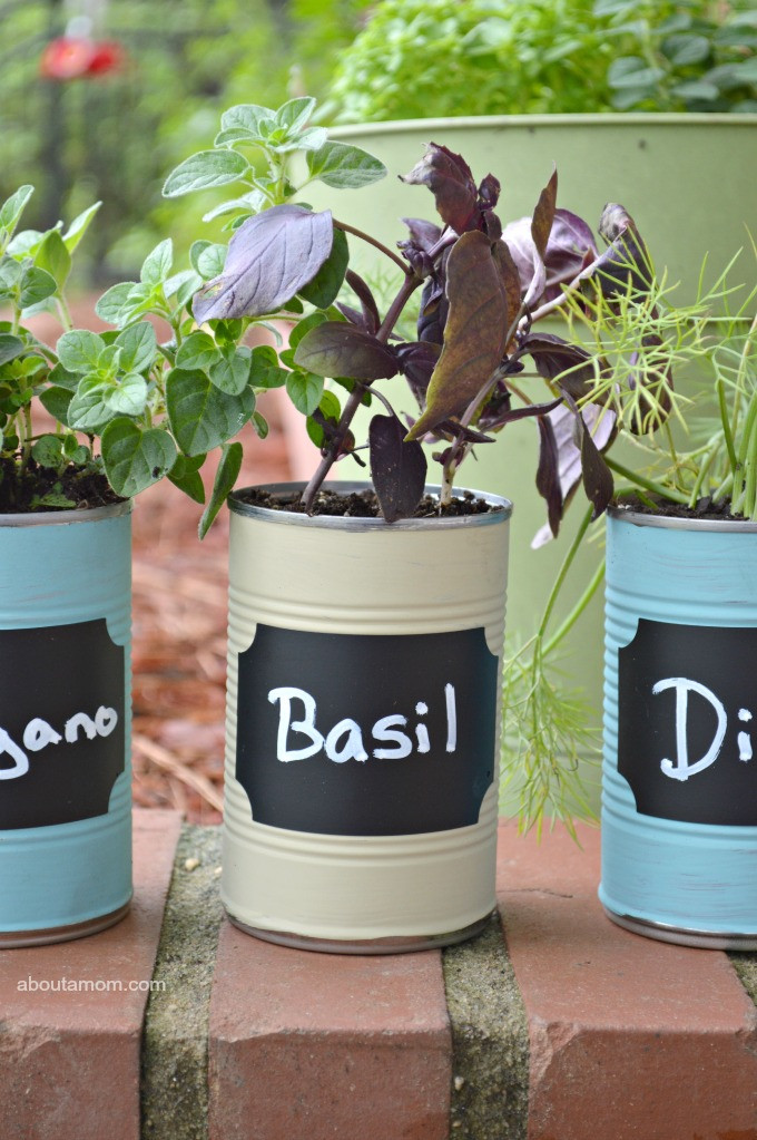 Mothers Day Garden Gifts
 DIY Kitchen Herb Garden Gift Idea About A Mom