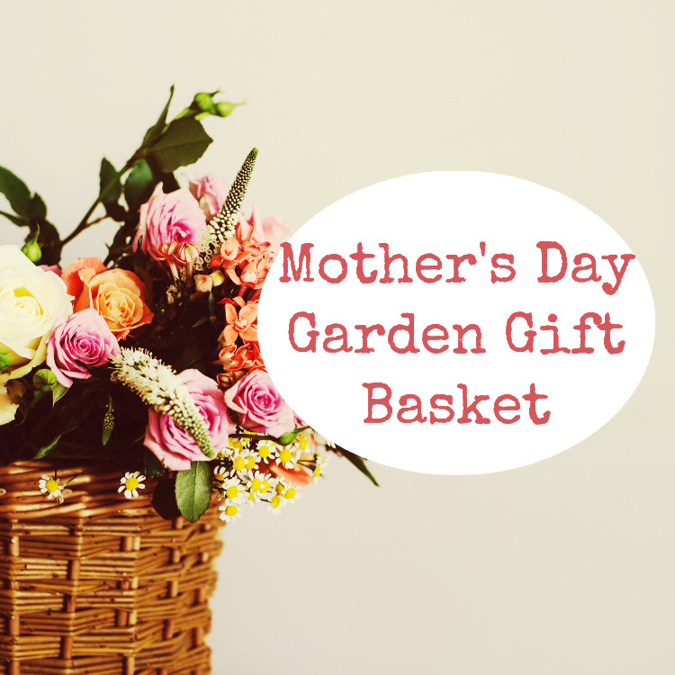 Mothers Day Garden Gifts
 Mother s Day Garden Gift Ideas The Greatest Gift Guide