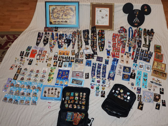 Pins Collection
 Disney Pin Trading – Mickey After Fifty