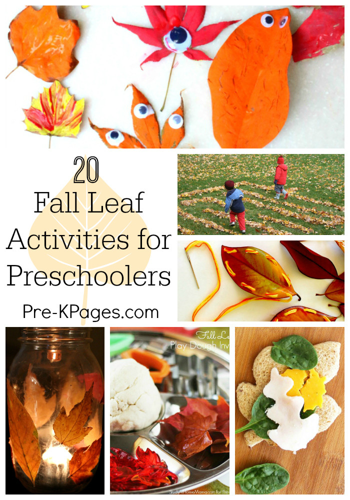 Pre K Fall Activities
 20 Fall Leaf Activities for Preschoolers