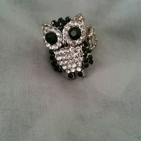 Rue 21 Earrings
 off Rue 21 Jewelry Owl fashion ring from Brandy s