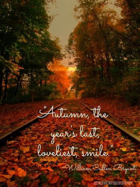 Short Fall Quotes
 72 Famous Autumn Quotes And Quotations