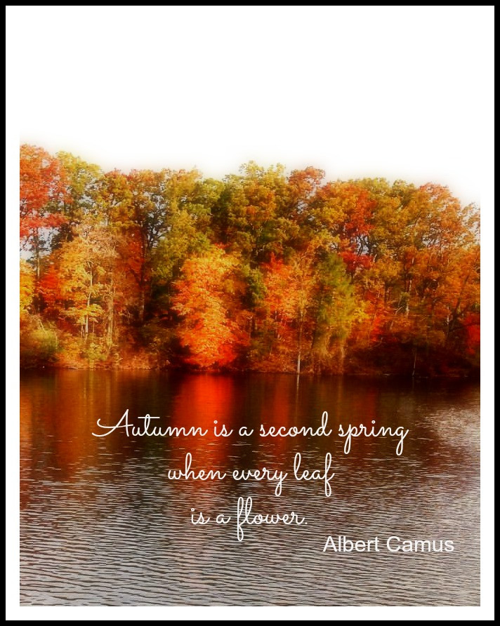 Short Fall Quotes
 Sunday Quotes Autumn Leaves New House New Home