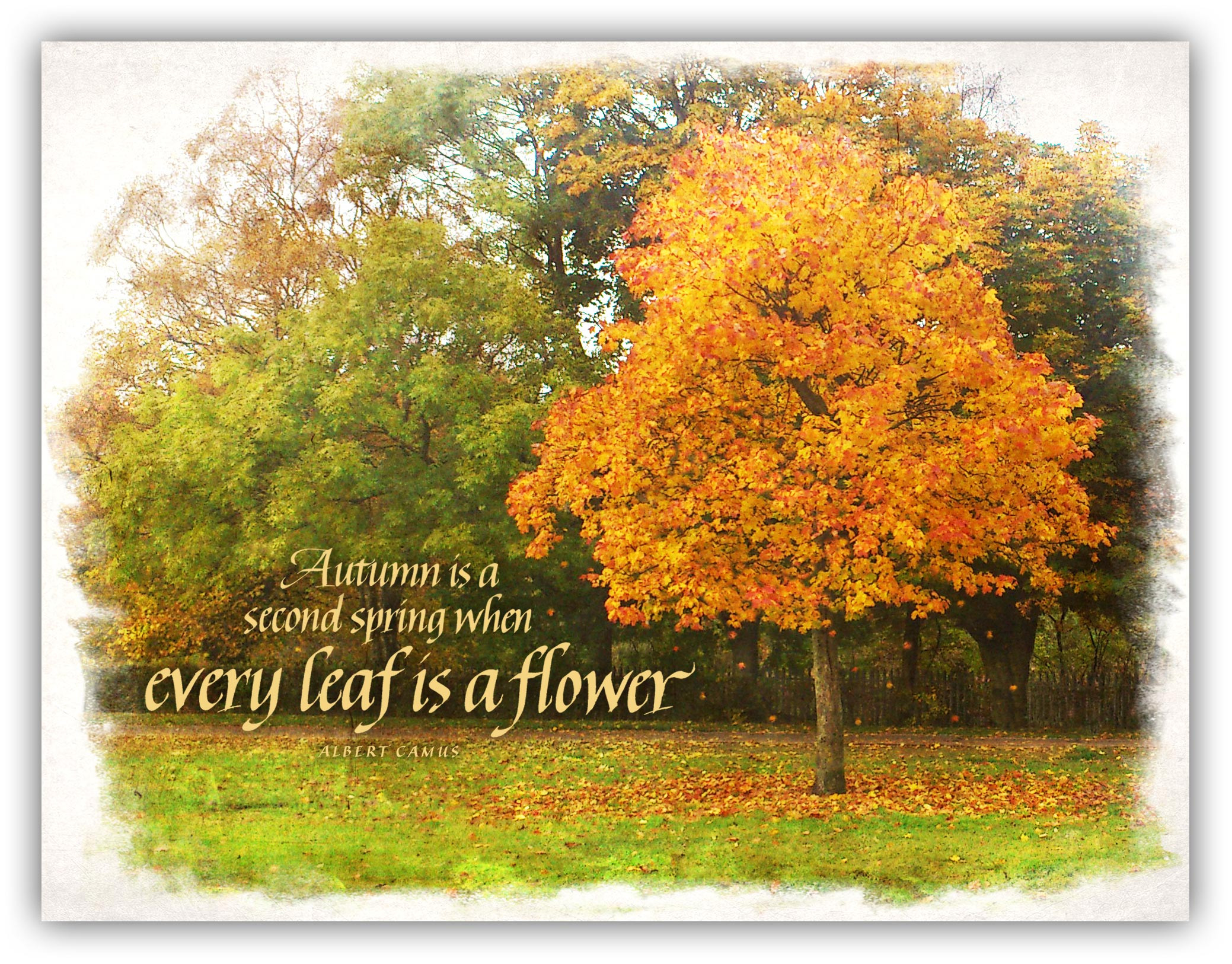 Short Fall Quotes
 Autumn… a second spring