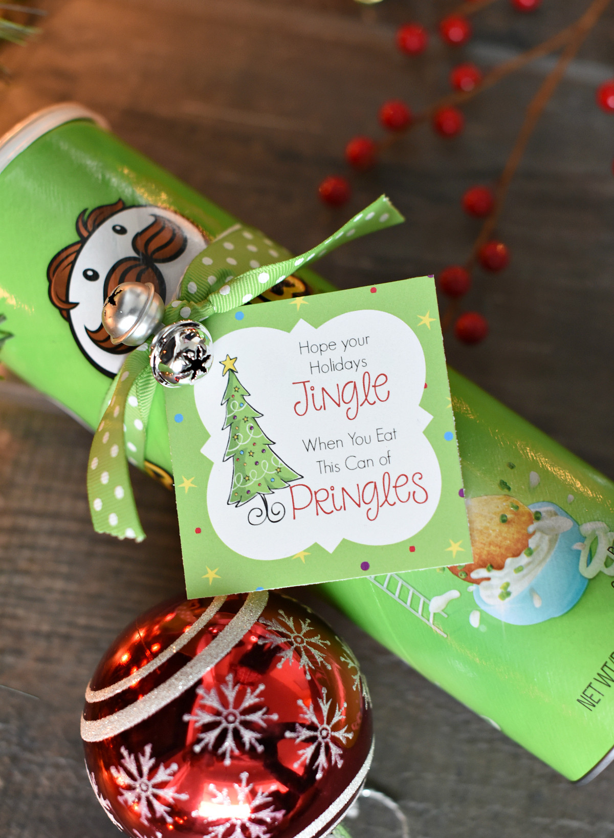 Silly Christmas Gift
 Funny Christmas Gift Idea with Pringles – Fun Squared