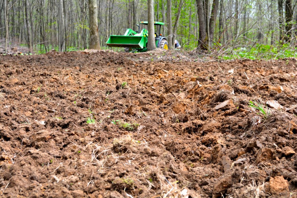 Spring And Summer Food Plots For Deer
 The Best 5 Food Plots To Plant This Year
