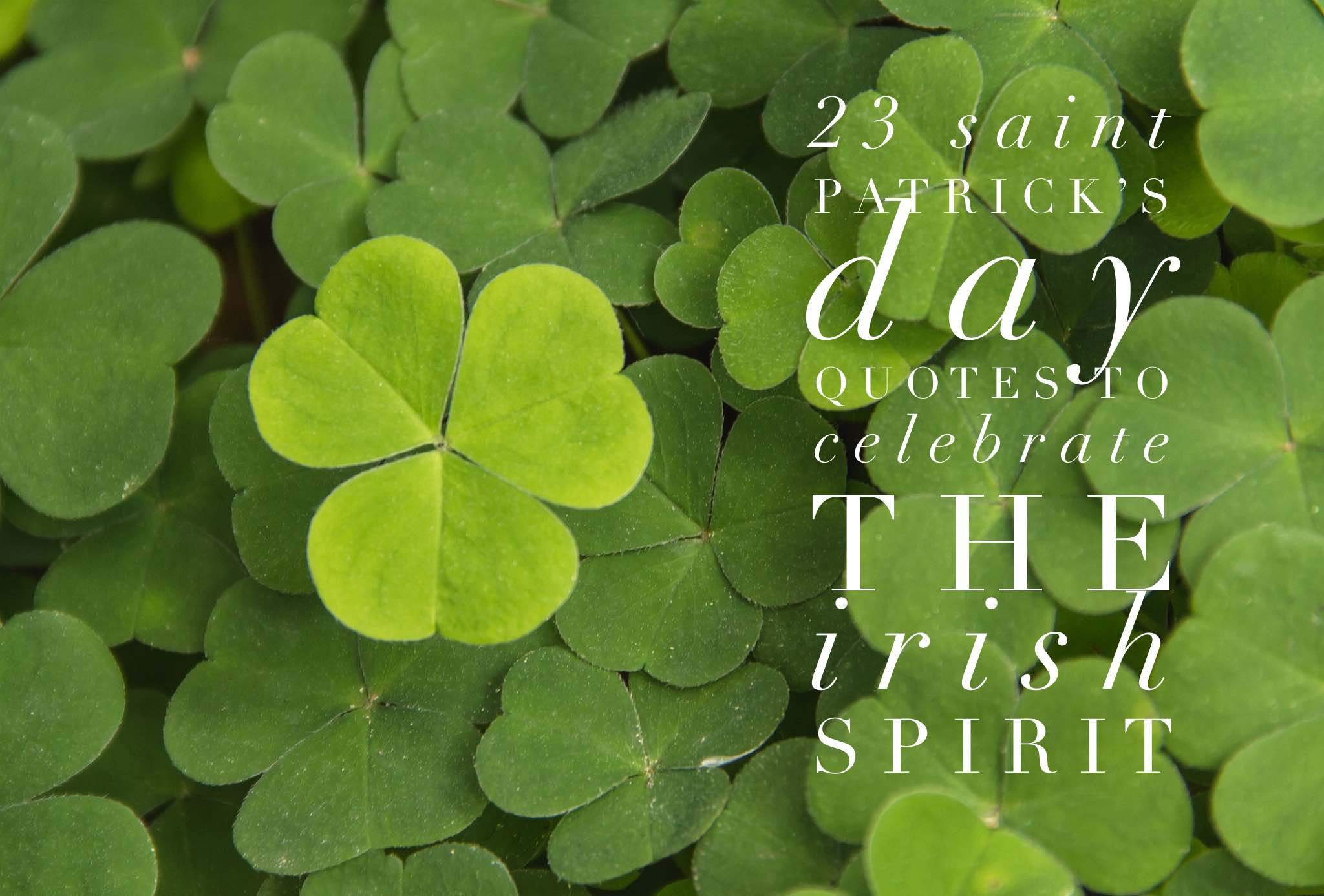 St Patrick's Day Inspirational Quotes
 17 Saint Patrick s Day Quotes to Celebrate the Irish