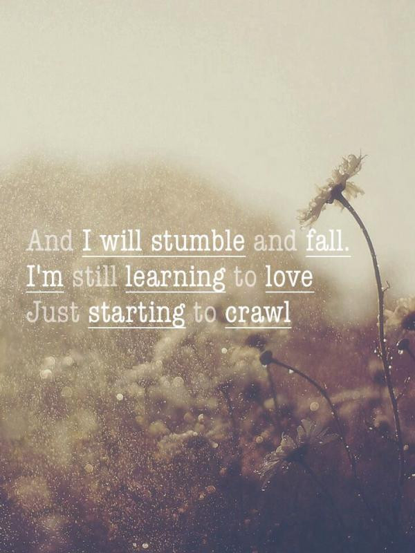 Starting To Fall In Love Quotes
 Im Still In Love Quotes QuotesGram