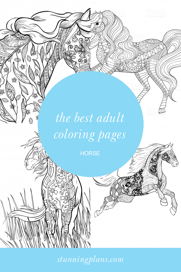Adult Coloring Pages Horse Lovely Horse Coloring Pages for Adults Best Coloring Pages for Kids