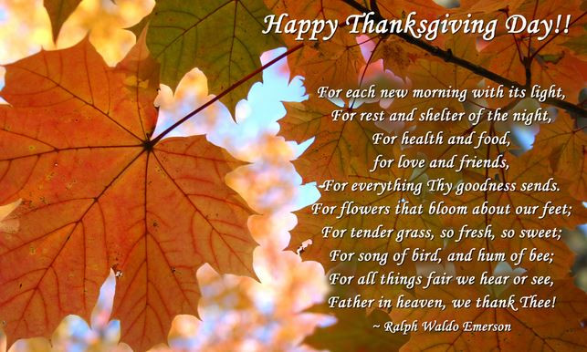 Thanksgiving Greetings Quotes
 101 Best Thanksgiving Day Quotes Wishes Greeting Cards