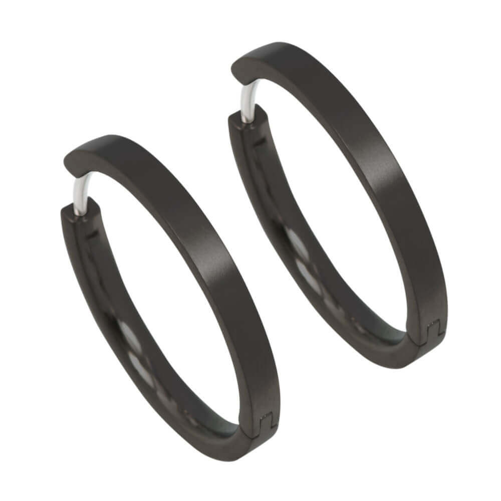 Titanium Hoop Earrings
 Medium Full Hoop Titanium Earrings Ti2 Titanium